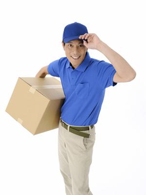 胡蝶蘭をお供えにしたい時に便利な会社